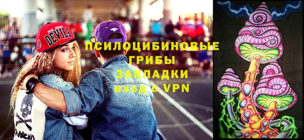 МДПВ Богданович