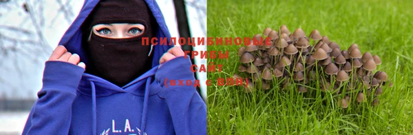 альфа пвп VHQ Белокуриха