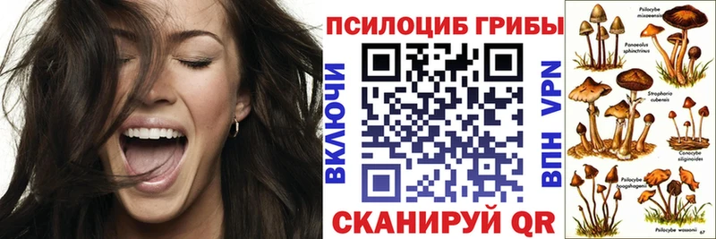 Галлюциногенные грибы Psilocybine cubensis  Бирюч 